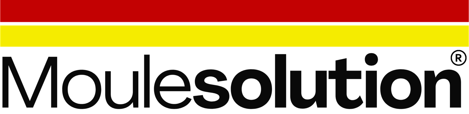 moulesolutions.com